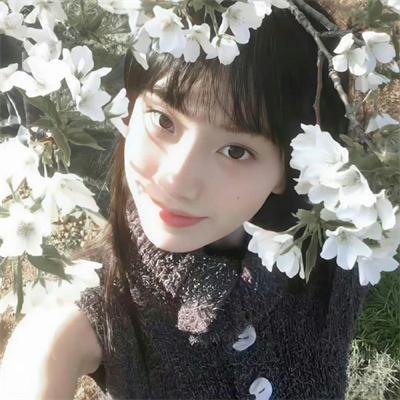 毒枭第一季 封面